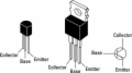 381383.thumbnail.jpg