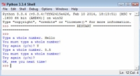 An input loop in Python.