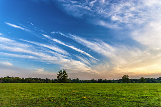 slrphoto-golden-hr