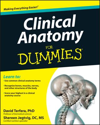 Clinical Anatomy For Dummies book cover