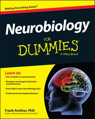 Neurobiology For Dummies book cover