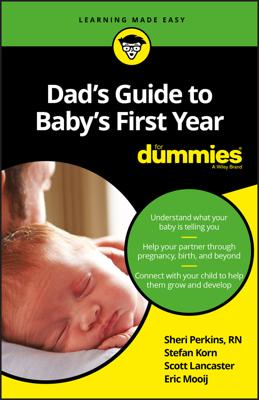 Dad's Guide to Baby's First Year For Dummies book cover