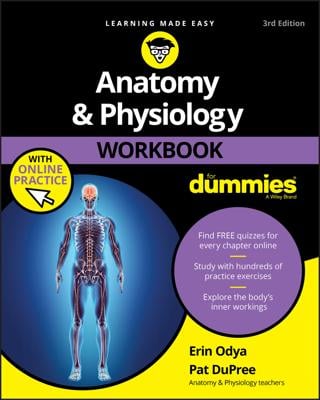 Anatomy & Physiology Workbook For Dummies with Online Practice book cover