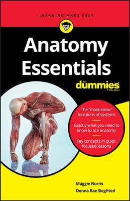 Anatomy Essentials For Dummies book cover