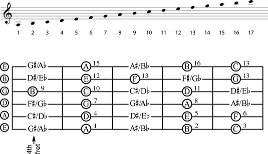 The notes of the fourth through eighth frets.