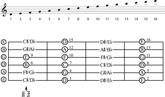 The notes of the ninth through the twelfth frets.