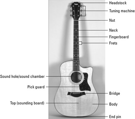 The Anatomy Of An Acoustic Guitar Dummies