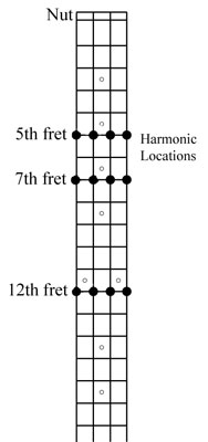 The main harmonics on a bass guitar.