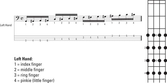 The first line (1 2 3 4) of left-hand permutations.