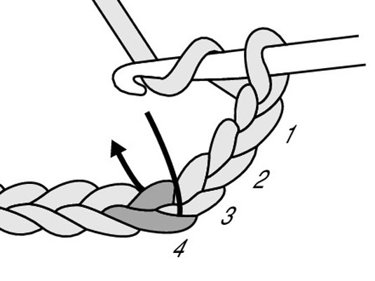 Yarn over the hook (yo) and insert your hook between the 2 front loops and under the back bump loop of the fourth chain from the hook.
