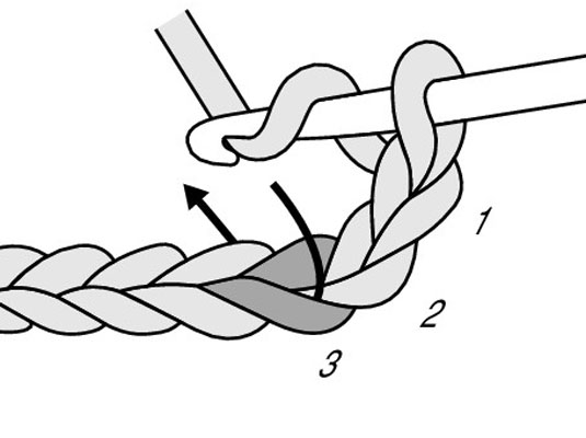 Yarn over the hook (yo) and insert your hook in the third chain from the hook.