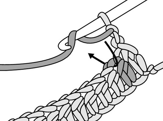 Skipping the first stitch of the row directly below the turning chain, insert your hook in the next stitch.