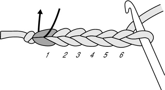 Chain (ch) 6, then insert your hook into the first chain stitch you made, forming a ring.