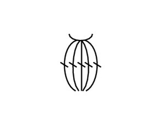 The stitch symbol for a popcorn stitch