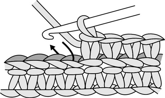 Chain 1 and then single crochet in the back loop of each single crochet across the row, turn.