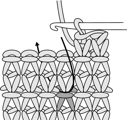 Insert the hook from front to back under the top two loops of the designated stitch one or more rows below.