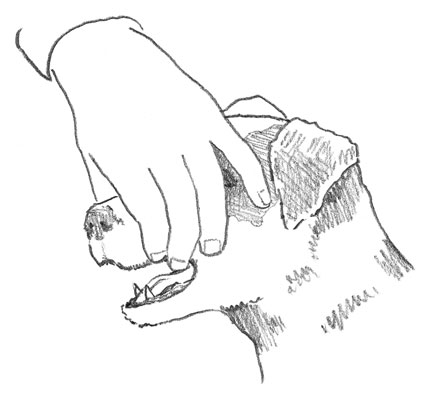 A little pressure on your dog’s pressure points gets her to open her mouth.