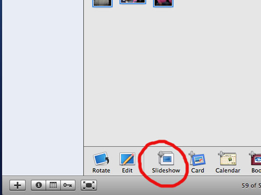 Choose the album or groups of photos you want in your show. Click the Add (+) button on the toolbar and then click the Slideshow tab.