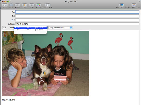 Fill in the recipient’s address, type a subject line, and add your message before sending the picture on its way.