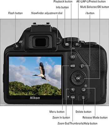 Nikon D3500 For Dummies