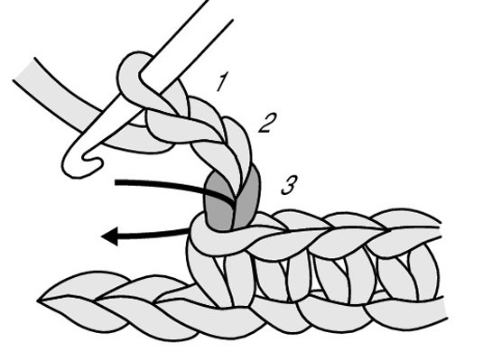 Insert your hook in the third chain from the hook.