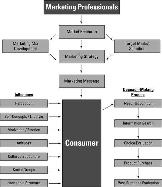 Consumer Behavior Chart