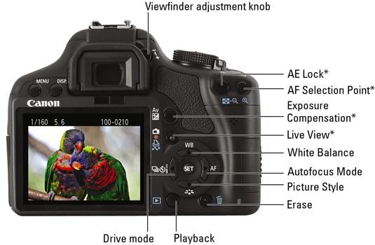 Canon EOS Rebel T1i/500D For Dummies Cheat Sheet - dummies