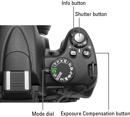 Nikon D5000 For Dummies Cheat Sheet Dummies