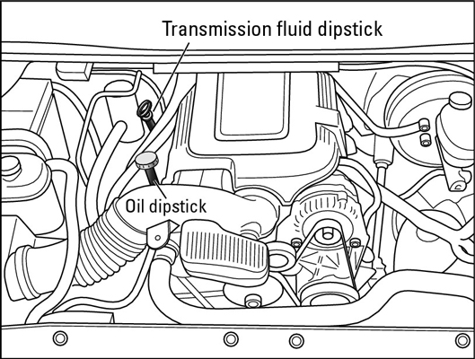 Where to find the transmission fluid dipstick in an inline engine.