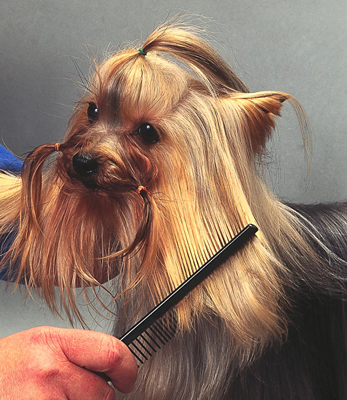 Sectioning the hair makes it easier to control while brushing.