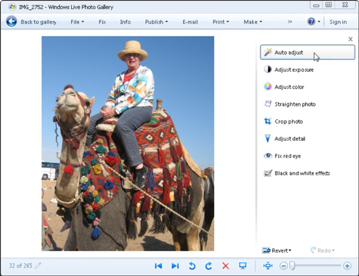 Windows Live Photo Gallery offers its photo-fixing tools along its right side.