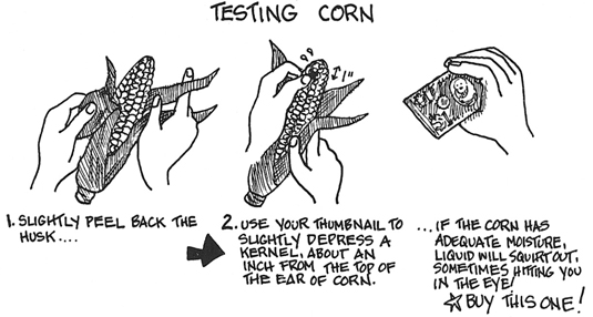 How to test and select corn for canning.