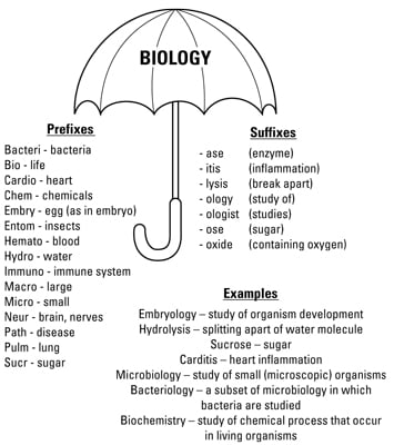 Knowing key prefixes and suffixes under the biology umbrella can help you figure out lots of biolog