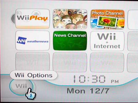 Select Wii Options on the Wii's Main Menu.