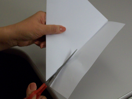 Unfold the paper completely and cut along the last crease you made.