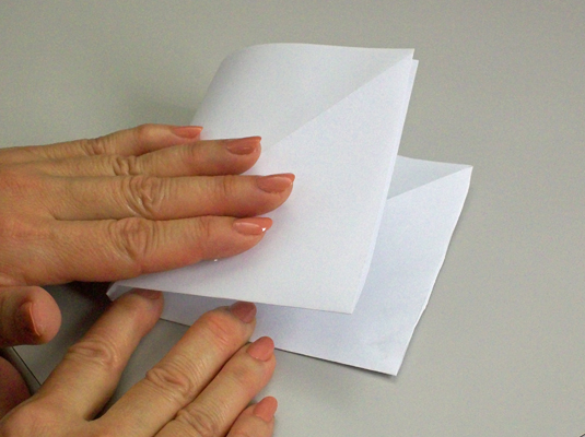 Fold the left edge over, align it with right the edge, crease the right edge, and then unfold.