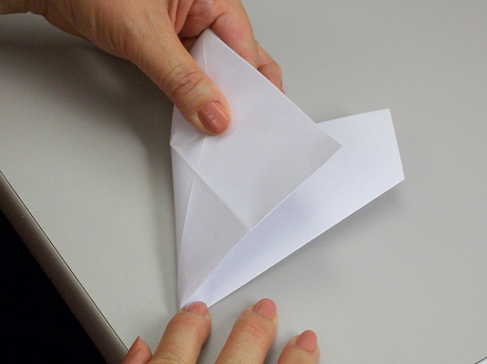 Fold the bottom left corner up to the right, on top of the section you folded in the preceding step.