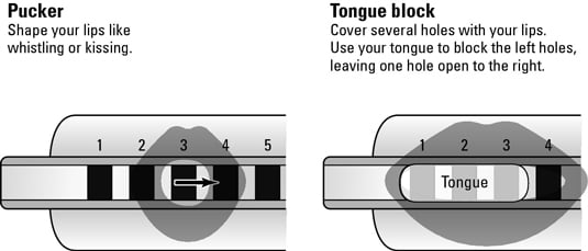 Harmonica Position Chart