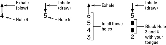 Harmonica Bend Chart