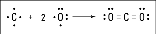 The formation of carbon dioxide.