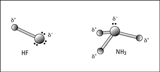 polar covalent molecule