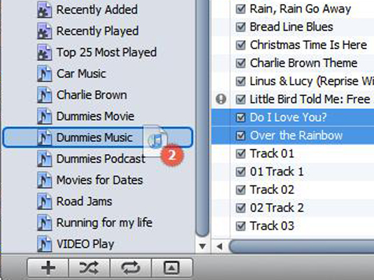 Select Music in the Library section of the Source pane, and then drag songs from the library to the playlist.