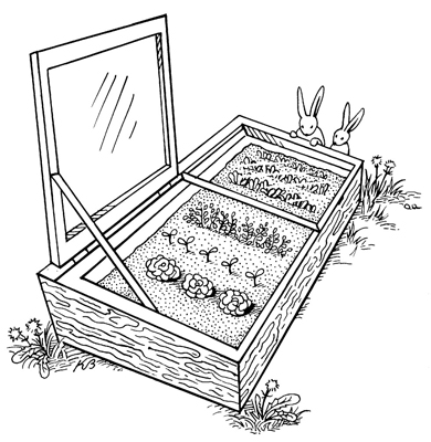 Build a cold frame to extend your growing season.