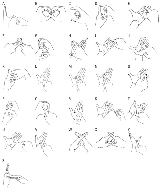 Bsl Numbers Chart