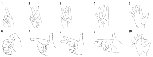 Bsl Numbers Chart