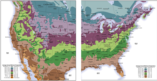 How To Find Your Hardiness Zone With Maps Dummies