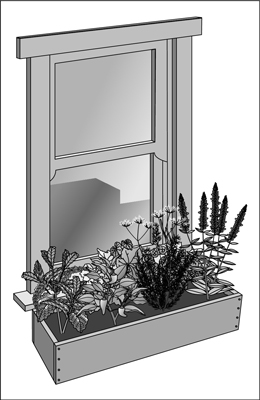 Plant herbs in a window box that gets plenty of sun.