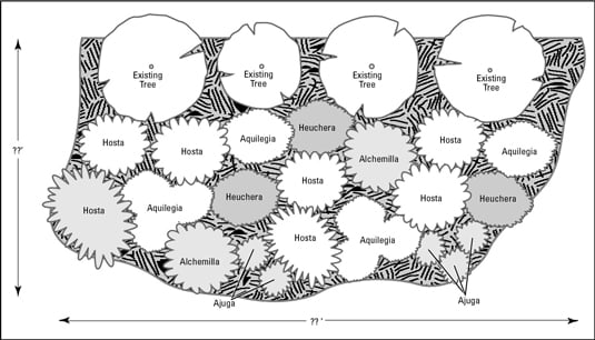 Tips For Designing Perennial Beds And Borders Dummies