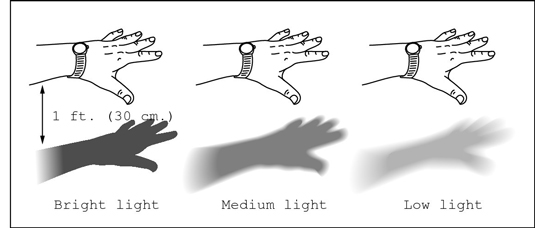 Perform this shadow test to measure light intensity.