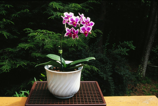 An egg-crate louver setup is a simple way to increase humidity, and it's easy to keep clean.